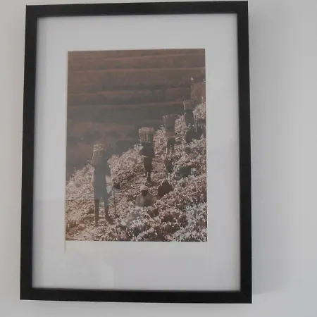 Sinos Rio Tinto 3* Campainha