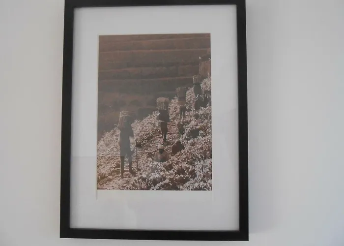 Sinos Rio Tinto 3* Campainha